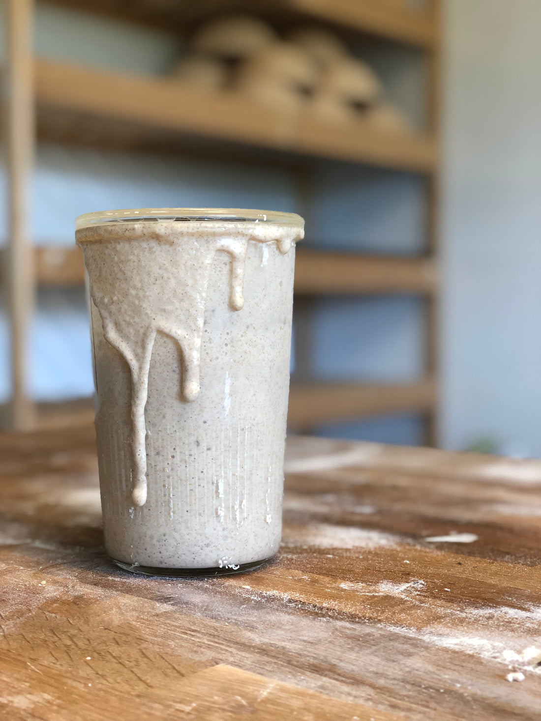 Creating a Sourdough culture